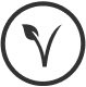 Vegan